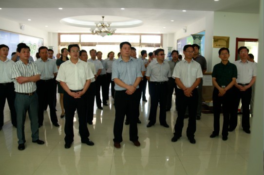 全市服务业综合改革工作观摩团来我中心调研